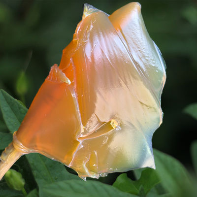 Calciunsulfonato de cálcio Ep Nlgi 2 lubrificante para máquinas pesadas