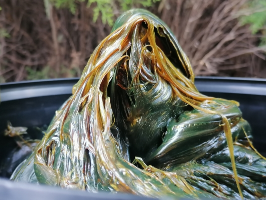 Gordura de Lítio Penetrante Branca 11 oz e garrafa de plástico de 15 kg com vantagem à prova de poeira