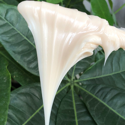 Impressora 3D personalizada e lubrificador automático de gordura para altas temperaturas 600 graus
